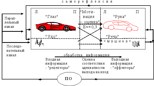 Рис. 19.